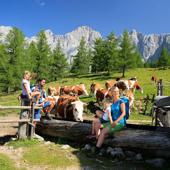 Familienurlaub im Sommer in der Ramsau