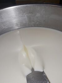 Das Produzieren von Joghurt