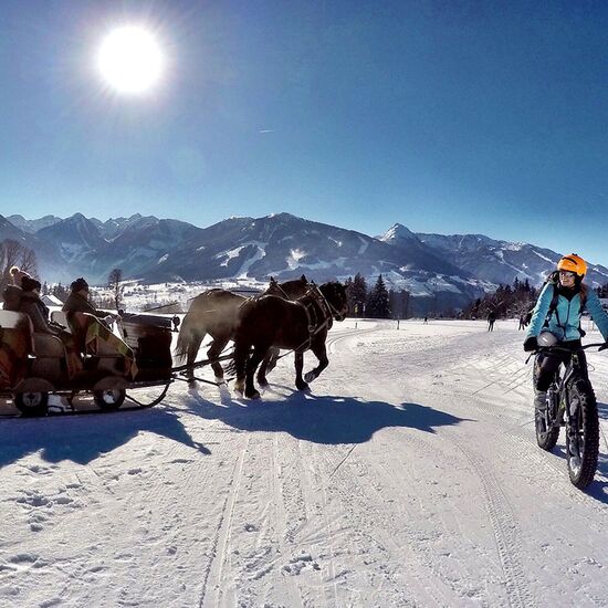 Pferdekutschenfahren und Fatbike im Winter