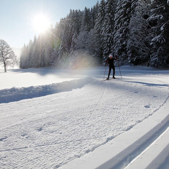 Langlaufen auf langen Loipen in der Ramsau